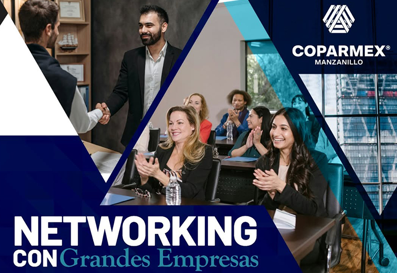 Networking with Large Companies